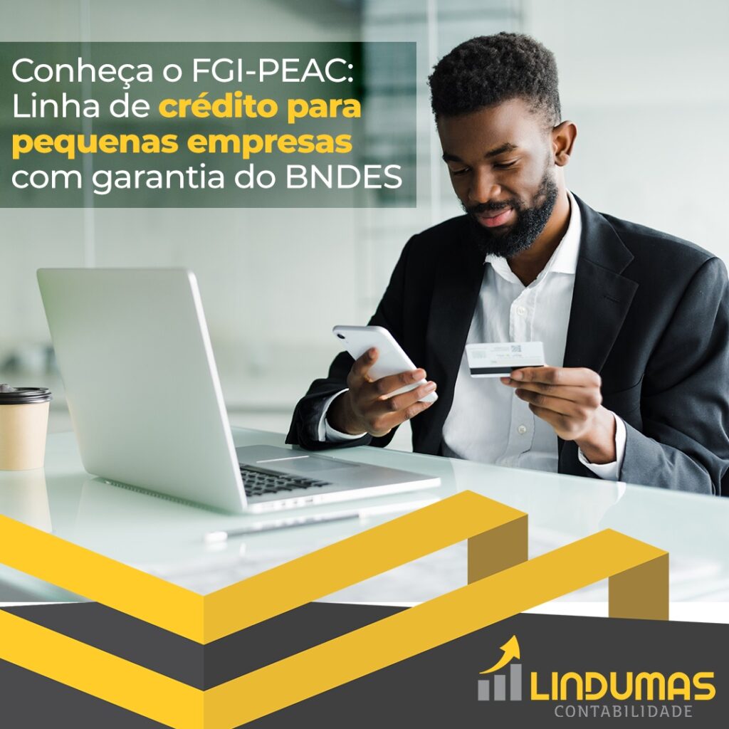 Conheça o FGI-PEAC: Linha de crédito para pequenas empresas com garantia do BNDES